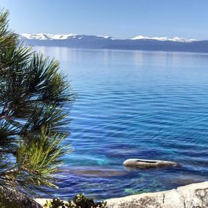 Meet your Posher, Sue bin